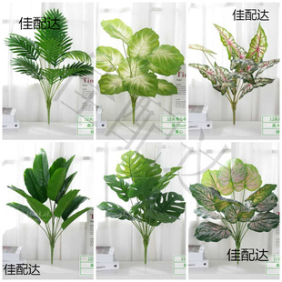 ~˽ɢβ~ϾGֲС݆ٻb쾰