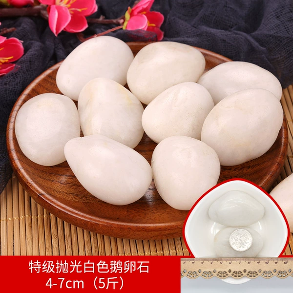 High gloss white 4-6cm (5 pounds)