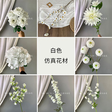 ��ɫϵ���滨������Y�õ��·���廨�ٻ���ˇ�ҾӔ[�O�鷿����