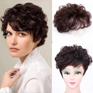 Middle-aged and Elderly Wig Female Mother's Short Curly Hair Breathable Hair Repair Block One-piece Top of Head Covering White Hair Wig in stock