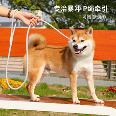 Cross-border dog chain integrated adjustable anti-explosion dog walking device P chain Pet leash for medium and large dogs