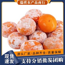 �V�����Qï�ȸ����r����ָ�10����ٽ���ʯ�Ҹ̱�֭ˮ���K�K����