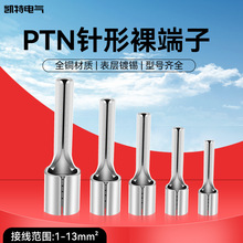 针形裸端头插针式接线端子PTN1/2/5.5-10/12/14线鼻子铜端子