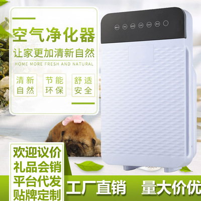 多功能空气净化器厂家批发除烟净化器卧室办公棋牌室除二手烟礼品