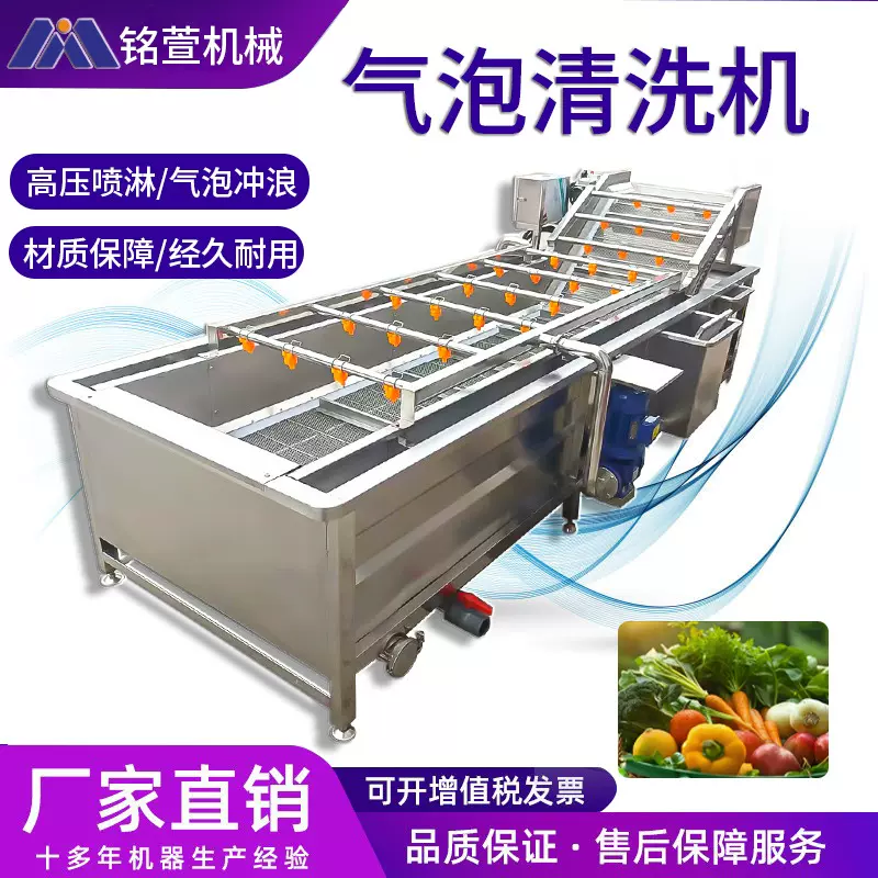 海鲜气泡清洗机 不锈钢全自动水果蔬菜清洗机 海带鱼虾类清洗设备