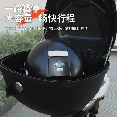 39L Box, Motorcycle trunk