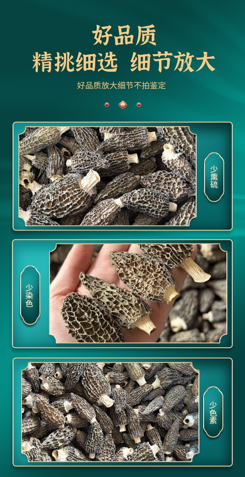 Fresh Morel Mushrooms Yang Du Jun 500g Jilin Origin Direct Supply specifications