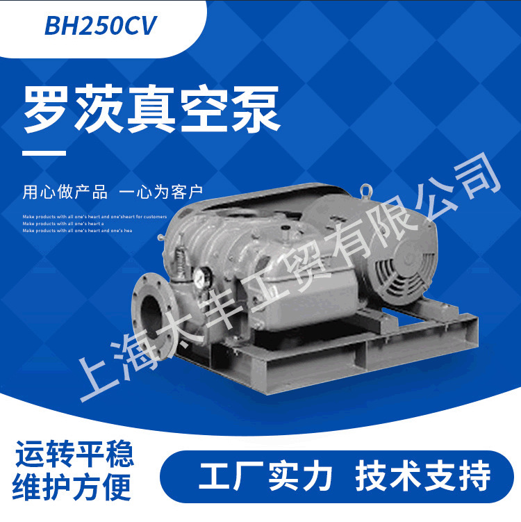 批发BH250CV日本罗茨泵ANLET吸尘器气体捕集泵吸砂机专用真空泵
