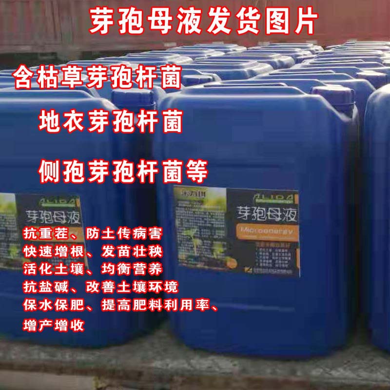 枯草芽孢杆菌原液 25kg桶装 改良土壤抗重茬 微生物菌剂 芽孢母液