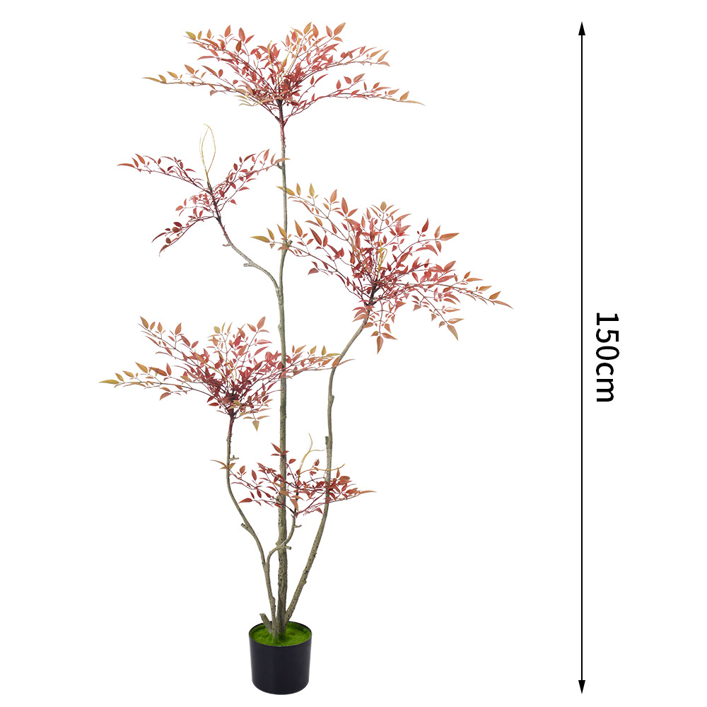 C Nantianzhu rojo-150cm