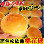 黄金椰蓉面包奶香椰香学生营养早餐面包代餐饱腹糕点其他面包批发