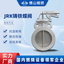 TFͨLyDN50/65/80/100/125քӚ≺{AyȼO