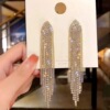 Fashionable long earrings with tassels, trend silver needle, European style, city style, silver 925 sample, internet celebrity