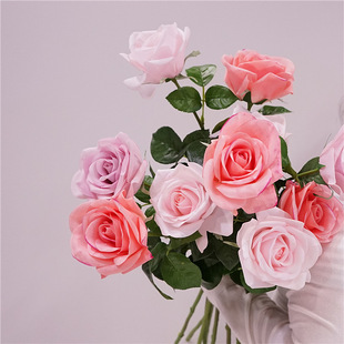 ��Ʒ�|���滨�ָб���õ���֦���_���҃ȼҾӲ����[����c������