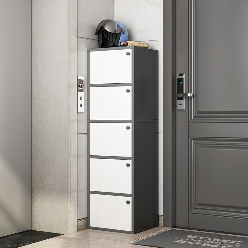 Gabinete de zapatos puerta doméstica pequeña y estrecha puerta de elevador simple entrada en el nuevo modelo 2024 explosión polvo rack de zapatos multicapa
