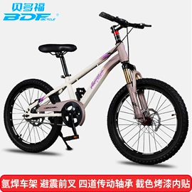 山地自行车;自行车;更多自行车