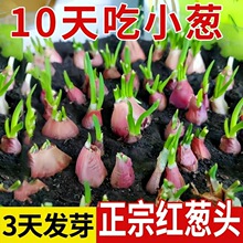 �Ĵ����ڼt�[�ļ�С���[�t�����[���������̨�ļ��Nֲ���r�t�[�^