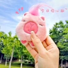 �W�t֨֨�п�Ƥ����ˮ�����В��ë�q��ż������W��С�Y��