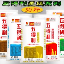 五得利面粉50斤馒头包子饺子面粉商用家用大袋面粉25kg装其他河南