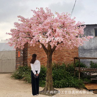 ����ѻ����b� ���͙ѻ����҃ȑ����쾰 ����ѻ���٘�S�����l