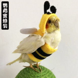 �W�^�^�����L��ū�����B�ﶬ�Ӻ�ů�·��۷�׃���bС������w
