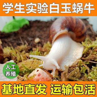 ΁ţ������w�W���ƌW����^�����b����΁ţ�Bֳ�^�p�̌WС΁ţ