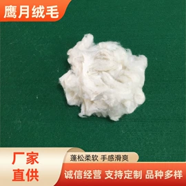 动物毛鬃;纺织填充物;羊毛/羊绒被