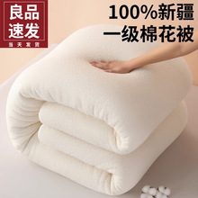 A��½�һ���ޱ�о100���޻����Ӷ����Ӻ�ů�����|�������޻�̥