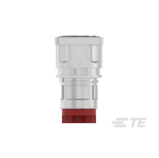 TE/̩��H53C011NN00000300000���ؿ��ŷ������� �ֻ� �������