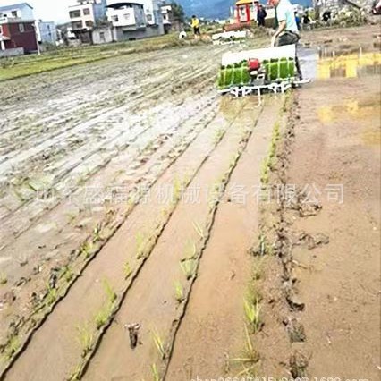 精品久保田插秧机 动力强劲 作业速度快 载秧量大 省时省力