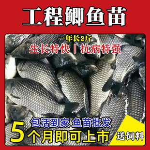 ���|�a�~���п���̖�����a����a�߱��a�~��ˮ�Bֳ���w���~���~��