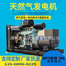 天燃气发电机组 30千瓦发电机 厂家直销 LPG石油液化气用20kw