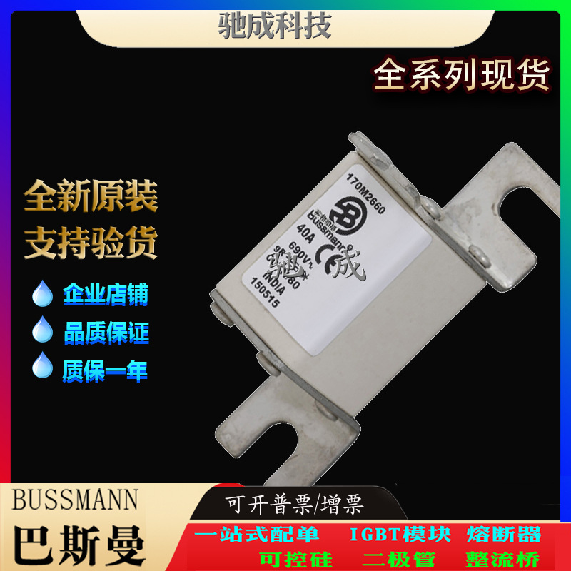 巴斯曼170M2660 170M2661 170M2662 经销批发出厂价格 低压保险丝