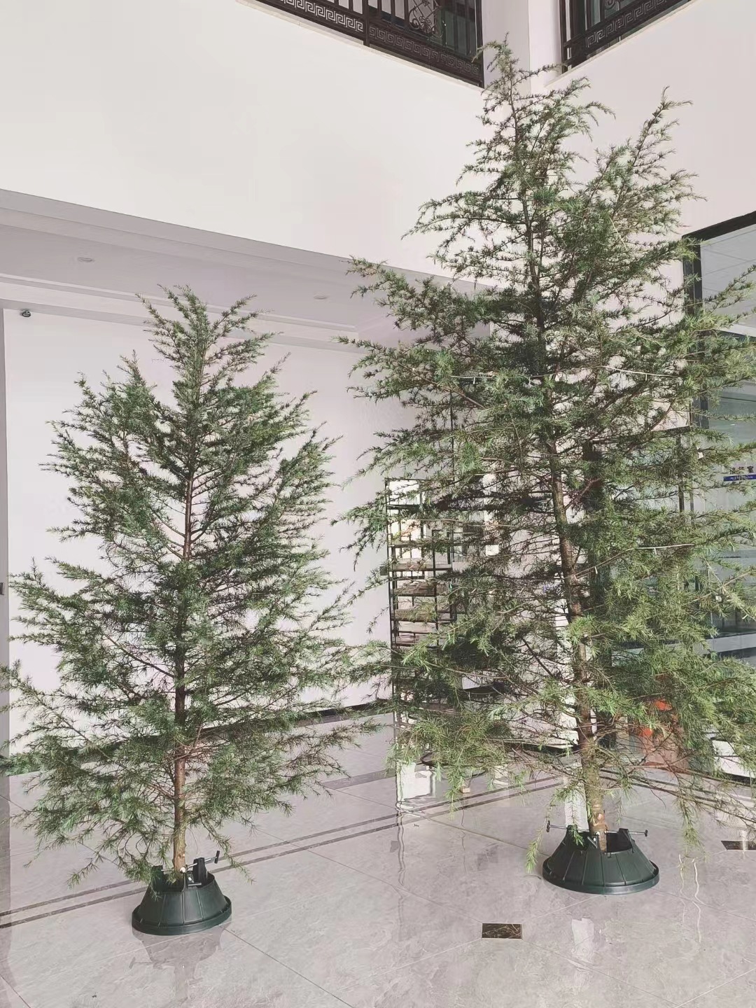 3517661b4a6a9c18811eaf4b818ea6