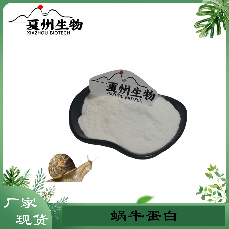 蜗牛蛋白肽 水解蜗牛蛋白 蜗牛蛋白肽粉  蜗牛提取物  优质100g 1