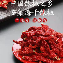 �½��خa�������������G�l��Ƥ�Ӹ�����������춴�P�u�����偵�