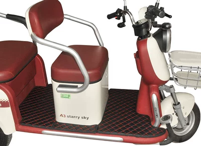 Aima, Yadea, Jinpeng, Xiaoniao, Electric vehicle foot mat - black-and-red-floor-mats-front-and-rear