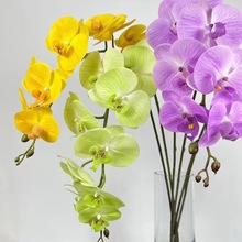 9�ָз��滨��������m�ҾӔ[����Y���ò廨�Ƶ����컨�S��ֱ�N