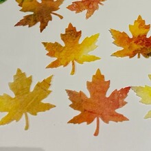 ���QŴ�׼����~�ж������}�����b� ��������ӡ�Ɍ��b�����Ʒ
