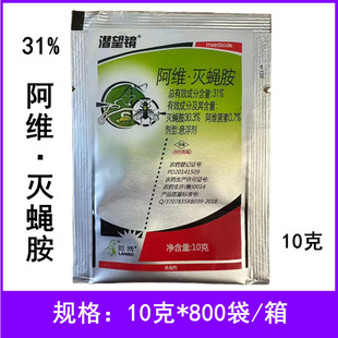�����R31%���S��ω�����x���˶����ްߝ�ω���S��ω�����x���rș
