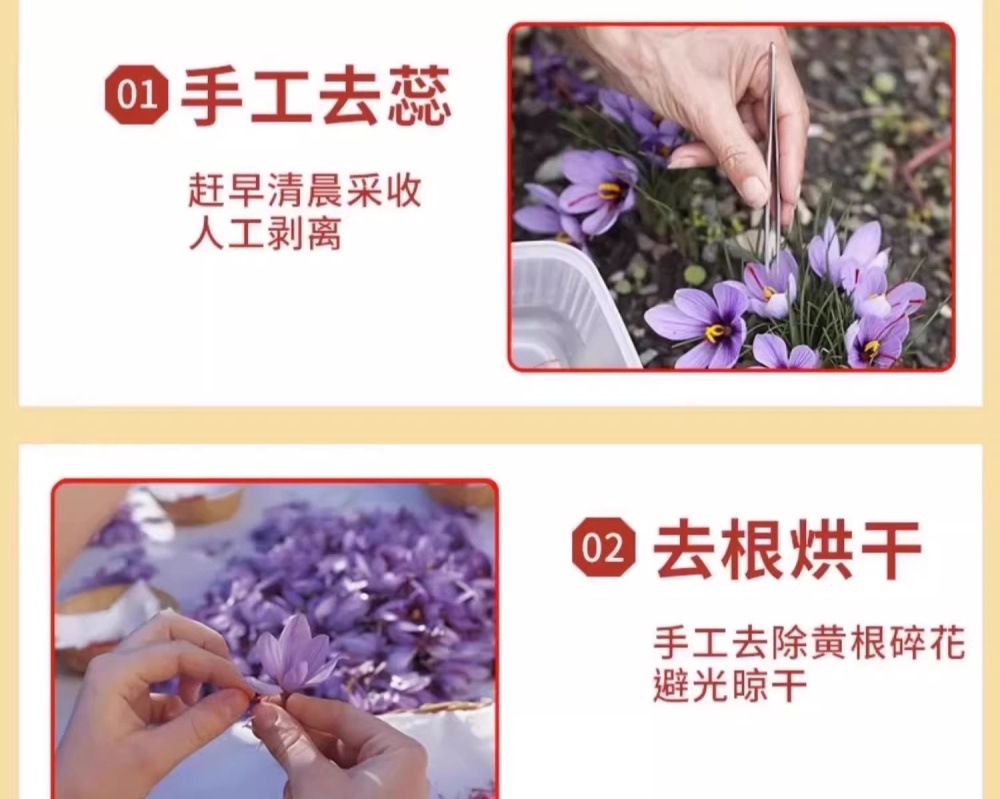 Saffron Threads Zang Hong Hua Premium Crocus Stigmas Traditional Herbal Tea 5g Gift Box preparation