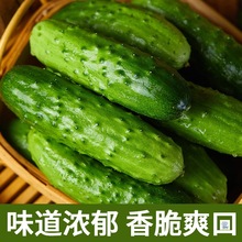�|�����S�����r�Fժ�߲˖|�����S��ˮ���S�����r���Ԯ�������