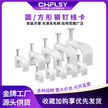 �A��늾��̶��������ᔾ����W���۠�ᔾ����|����������100��