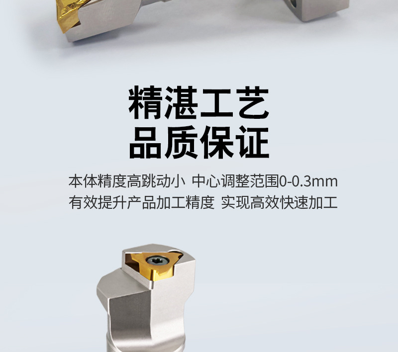 详情页-DS走心机刀杆系列--斯大背轴刀杆---合集版_11