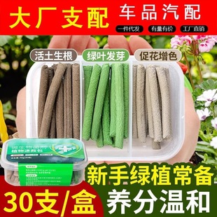 Green Plant Manure Slow Release Nutrition Bars Flower Fertilizer for Flower Planting Household Indoor Universal Potted Plant Rapid Slow Release Rods