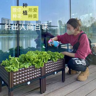 ���ϷNֲ���ͥ��픷N�ˌ�����ˈ@�߲ˑ��⻨�@����҃���Nֲ��