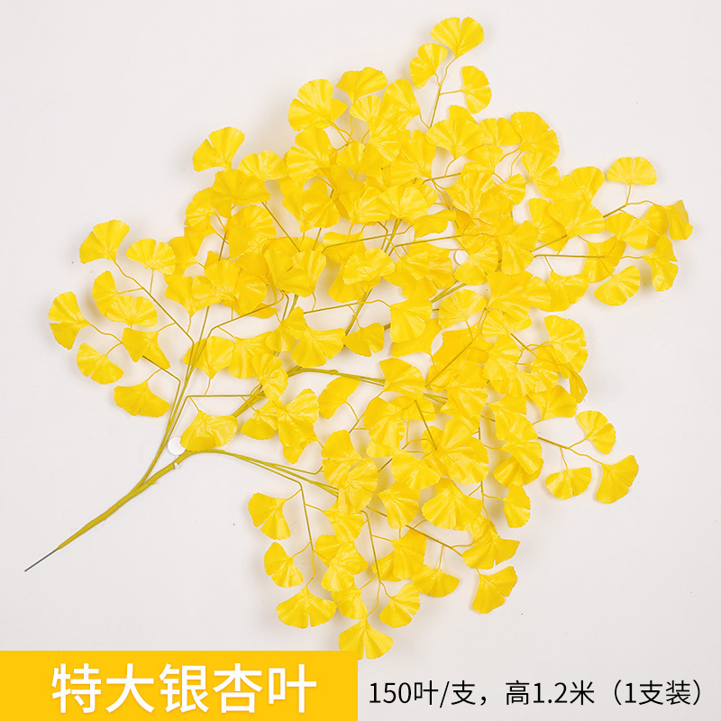 1 branch of Ginkgo Leaf