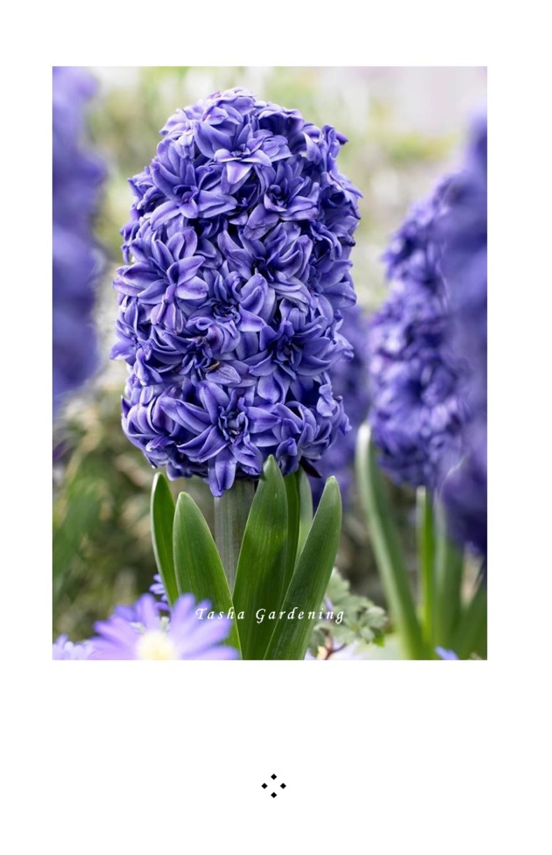 YJH_一键复制_20240722221433