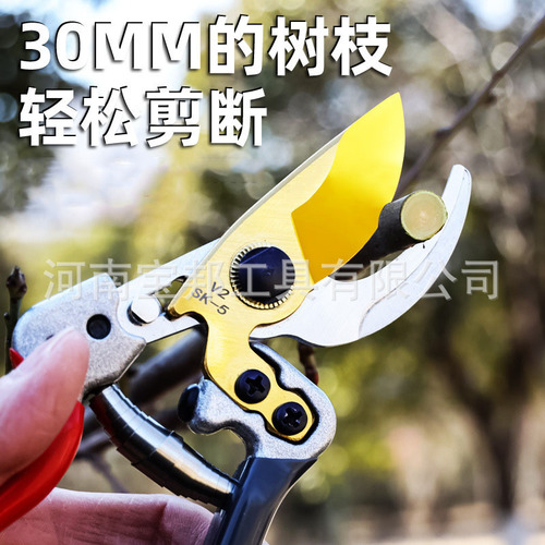 New Baobang SK5 Gold Black Blade Plant Pruning Shears Fruit Picking Scissors Garden Branch Pruner Labor-Saving Fruit Branch Pruner