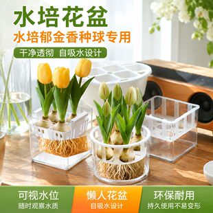 ������ˮ�໨�躬��ֲ�@ˮ�B�²��������דQˮ͸�����ϷN����